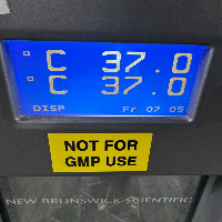 New Brunswick Innova 42 Incubator Shaker Series image 2